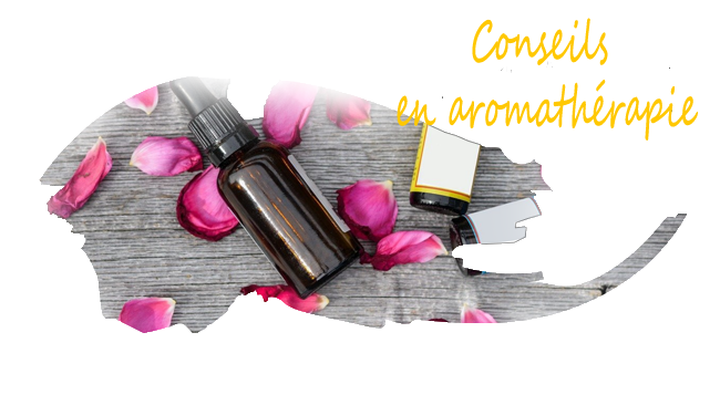 flacons d`huiles essentielles illustration aromathérapie