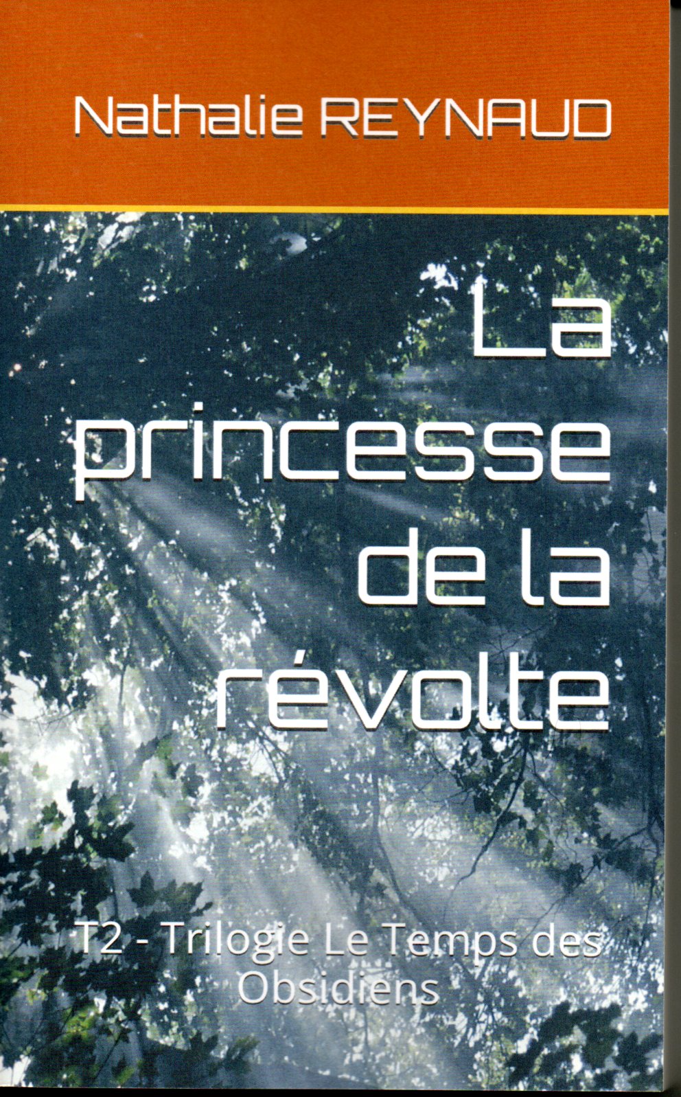 couverture du livre tome 2 La princesse de la révolte trilogie Le Temps des Obsidiens