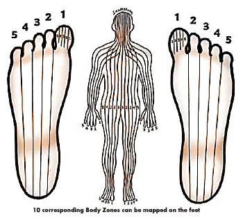 carte de correspondance entre les zones du corps et les zonnes des pieds